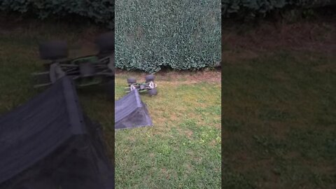 Losi LMT stunting