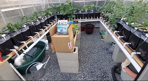 Overview of Harbor Freight Greenhouse & Hydroponics