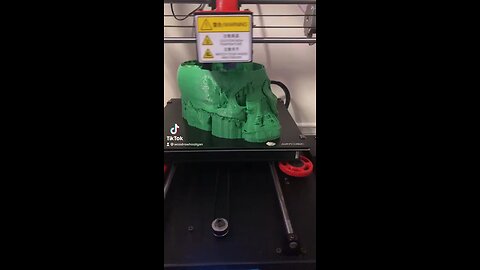 3D Printed Skull