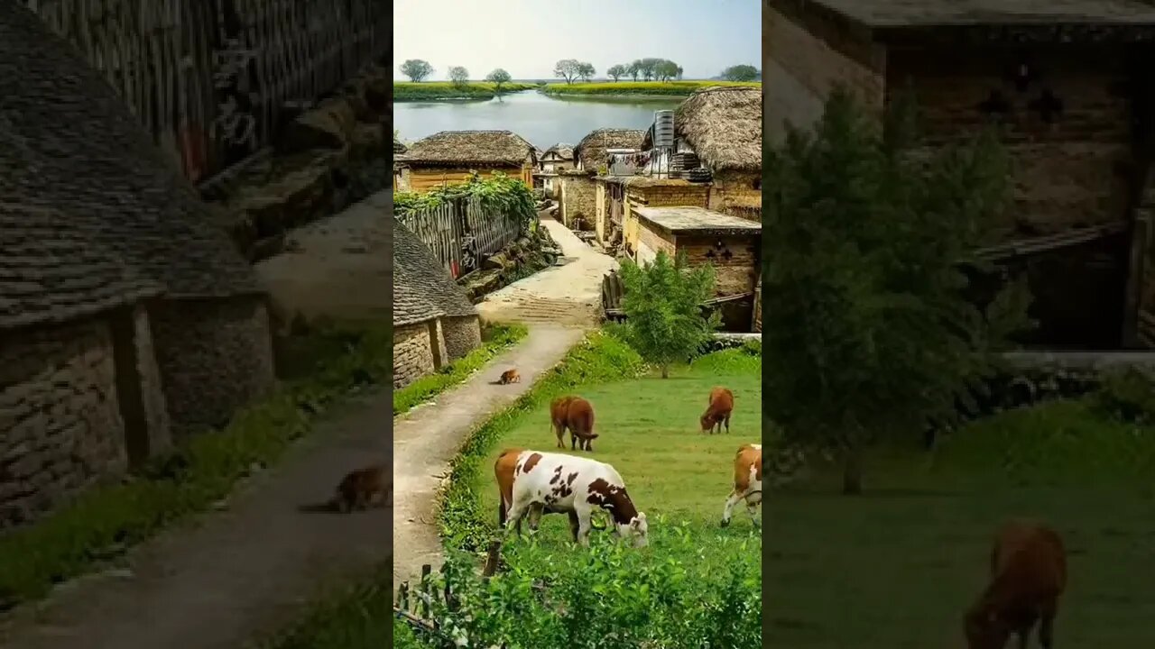 Beautiful Village Life #villagelife #village #nature #wonders #beautiful #shorts #wow #life