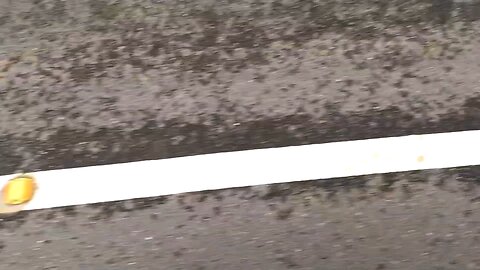 road - line