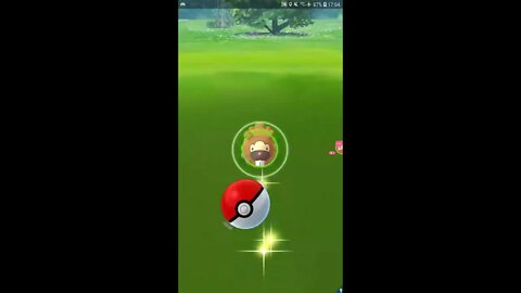 Live Pokémon GO -