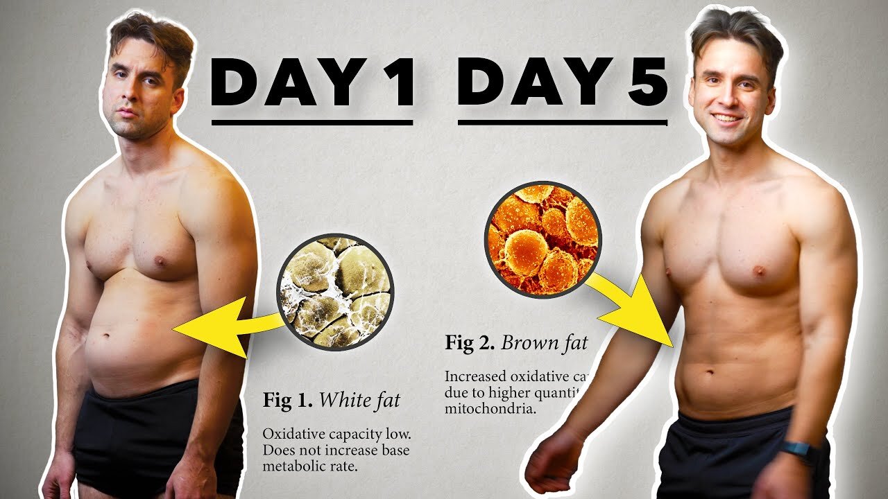 I Fasted for 5 Days and Walked 7 hours a Day