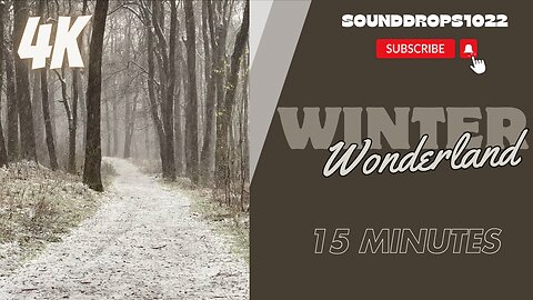 15 Minutes of Snow Ambience - Calm Winter Interlude