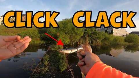 Clacker 5" - CL8 Baits! *Works for me today bass fishing ponds*