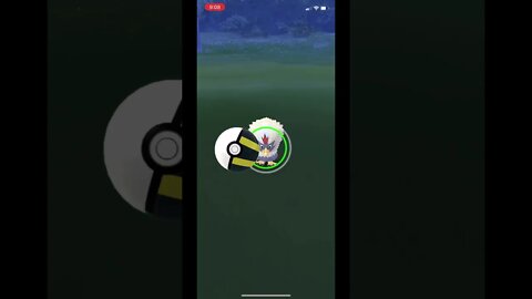 Pokémon Go - Catching Rufflet Gameplay #Shorts