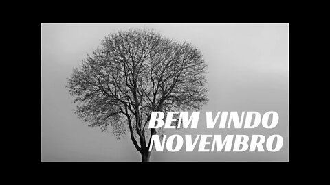 NOVEMBRO HÁ ESPERANÇA.#shorts