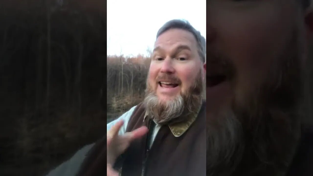 Do You Want to Transform Your Land Into a Homestead?