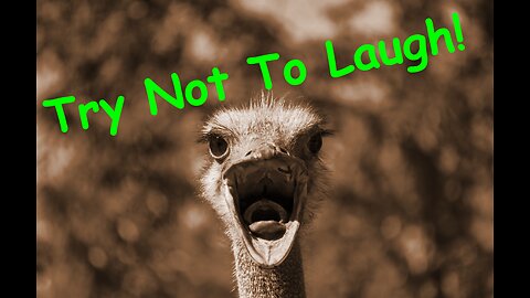 Try Not To Laugh - America's Finest