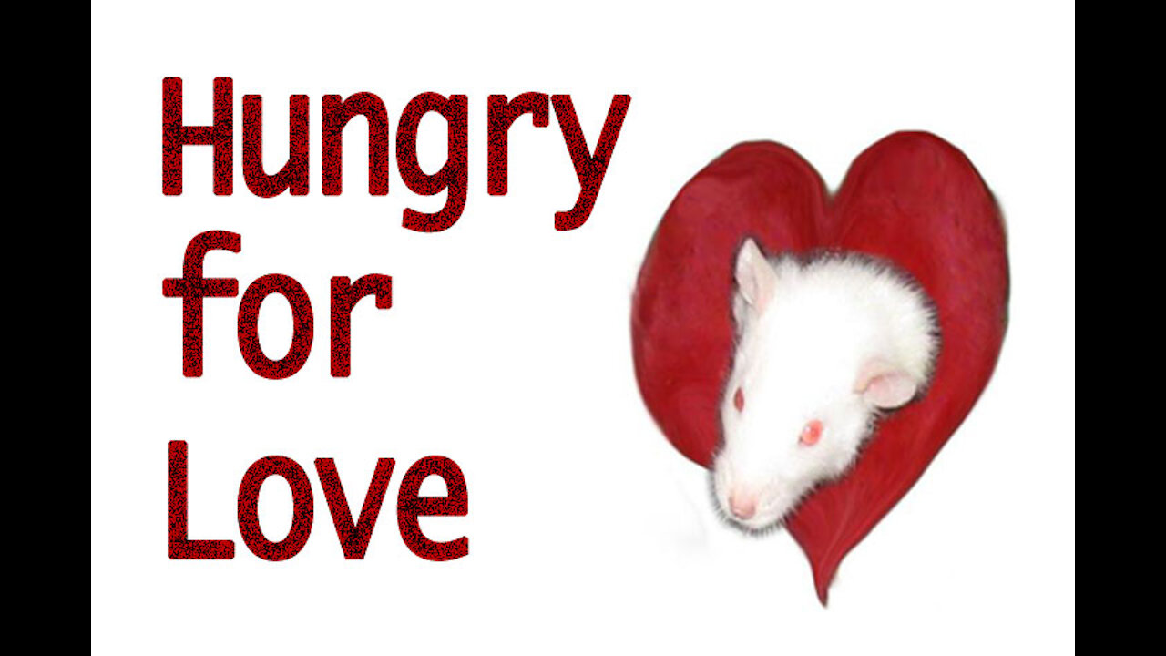 ST#2: Hungry for Love