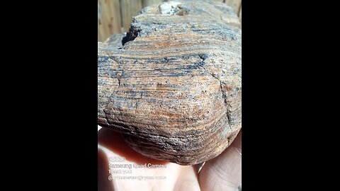 Blue n' Brown Banded Boulder!