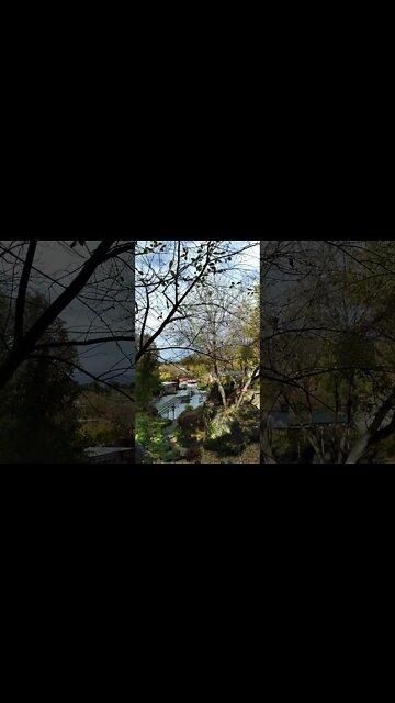 Lava Hot 🔥Springs 2 10.18.2021 ☆☆☆