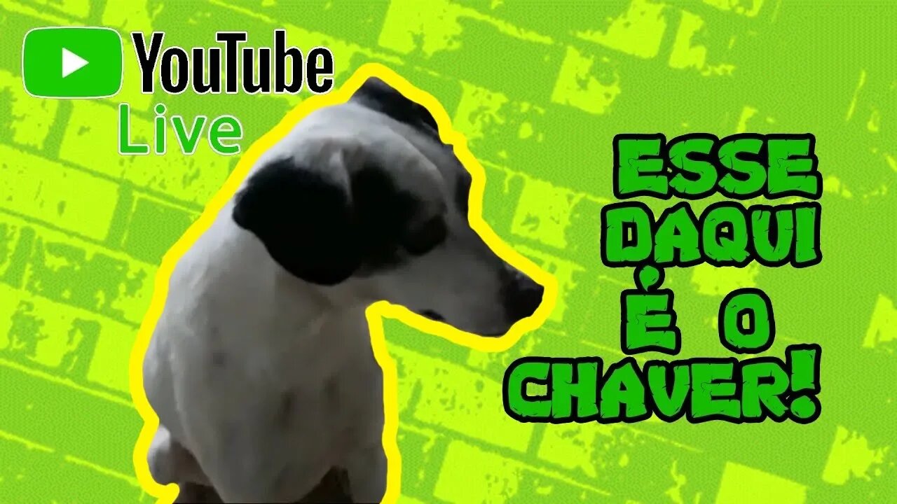 [LIVE] Conheça os meus Dogs! | Dr. Edgard Gomes