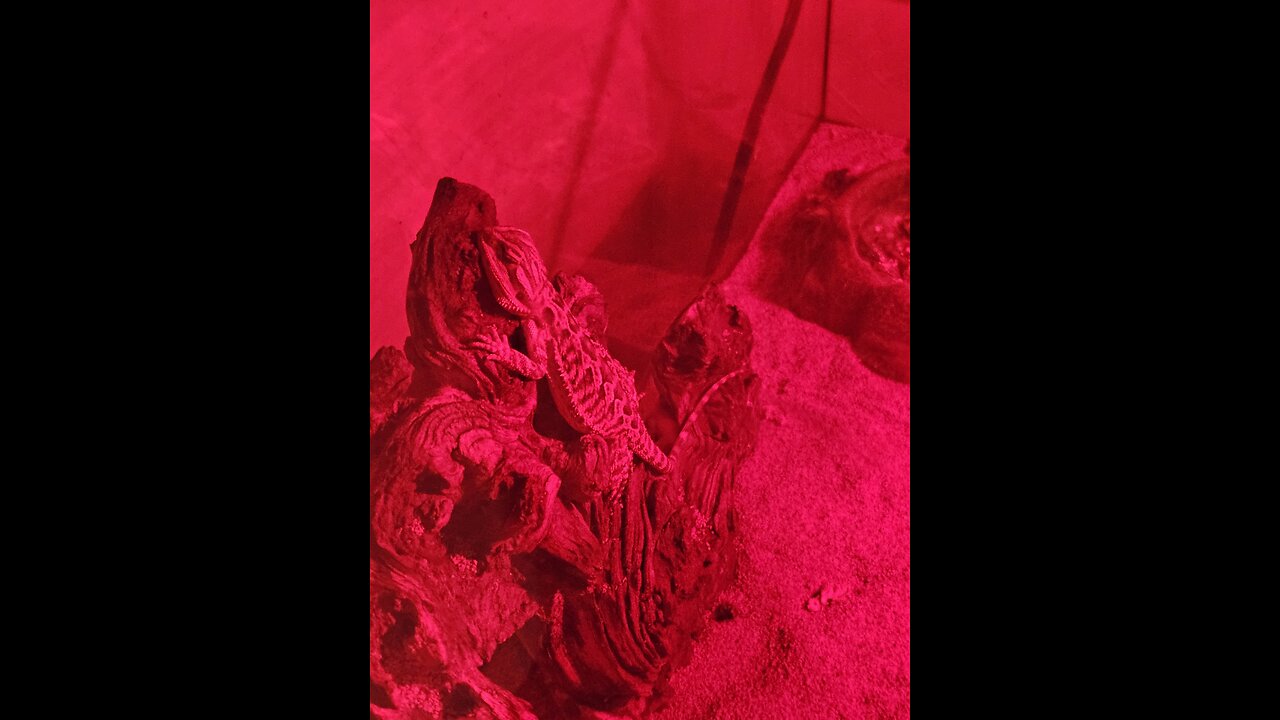 Digging!!