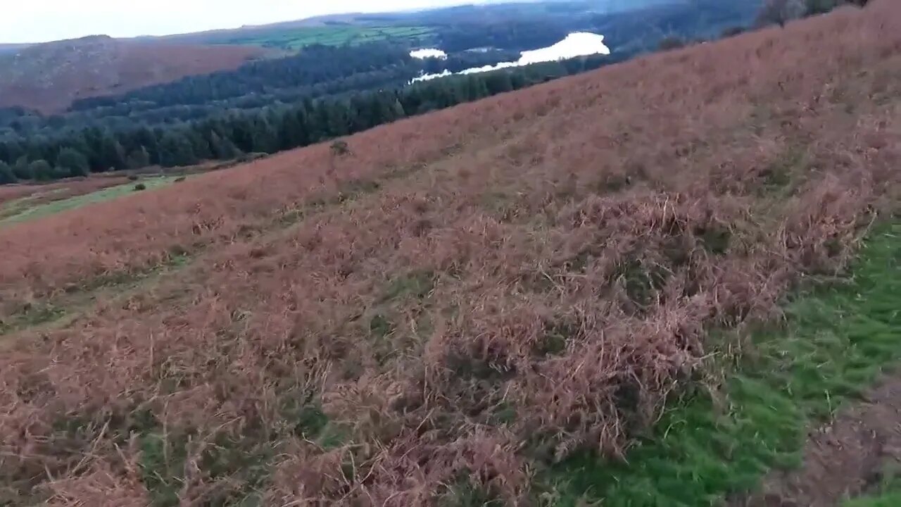 Overlooking Burrator Reservoir 7th Oct 2023