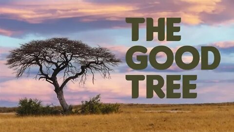 The Good Tree