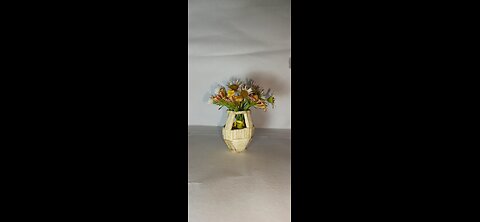 Matchstick Flower Vase