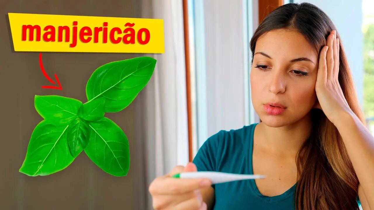 SAIBA COMO BAIXAR A FEBRE USANDO MANJERICÃO