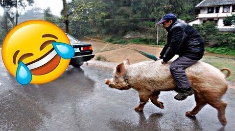 TRY NOT TO LAUGH 😆 Best Funny Videos Compilation 😂😁😆 Memes
