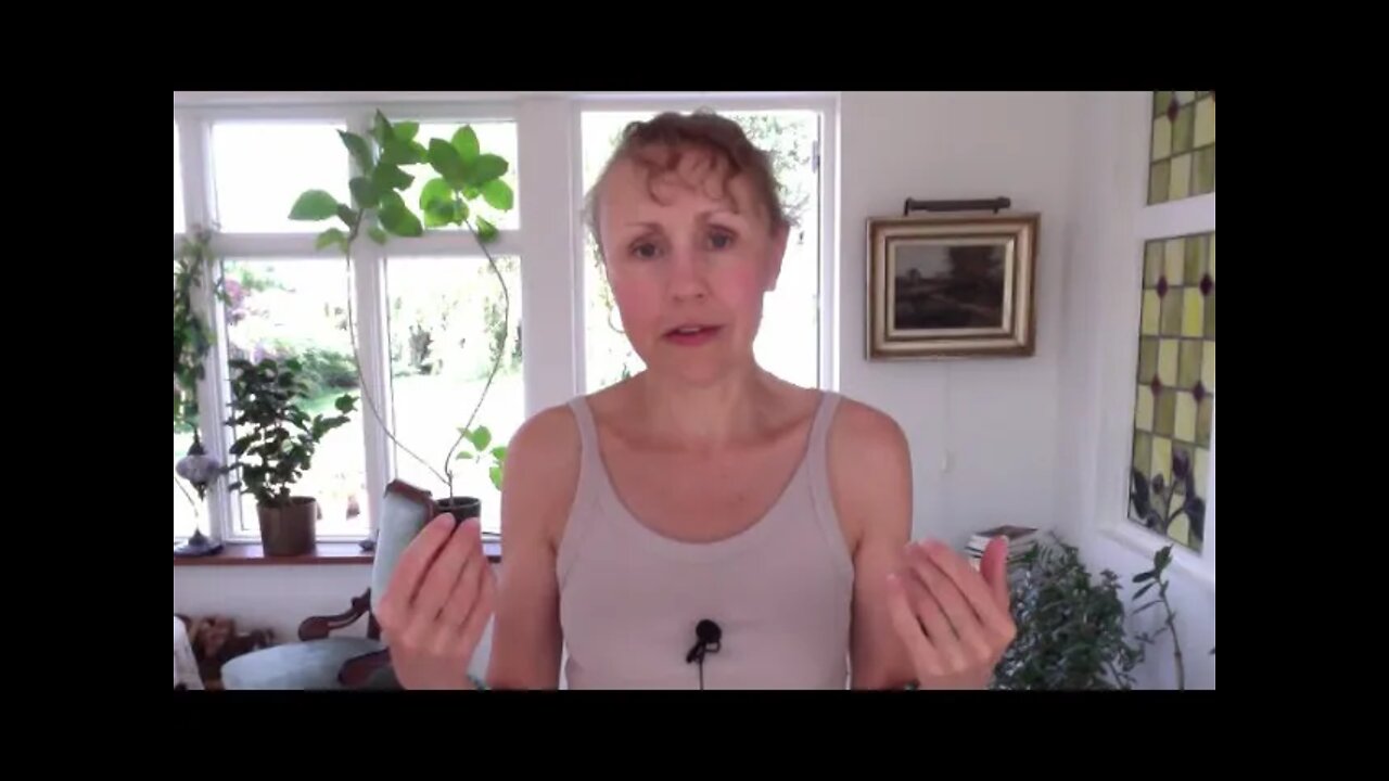 Energiuppdatering + hur man processar energier/känslor