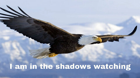 I am in the Shadows