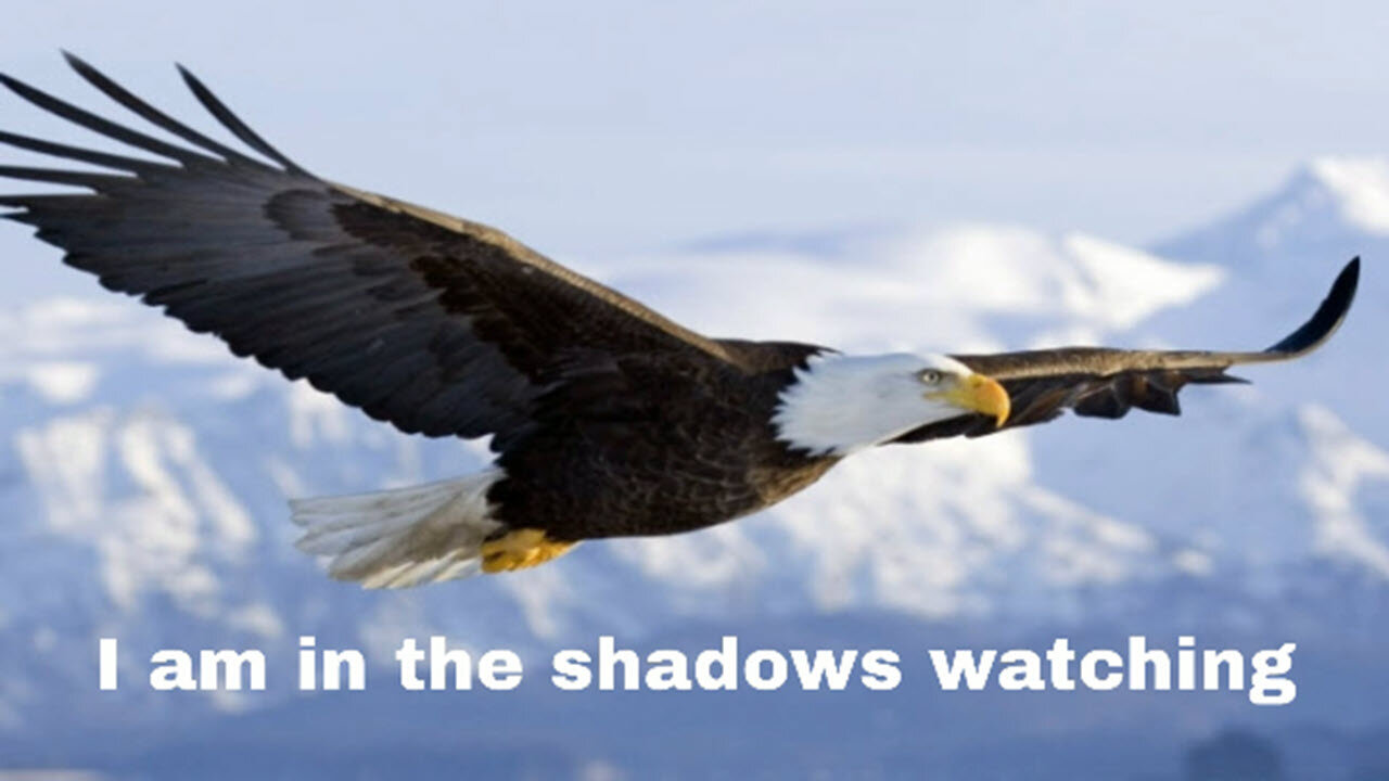 I am in the Shadows