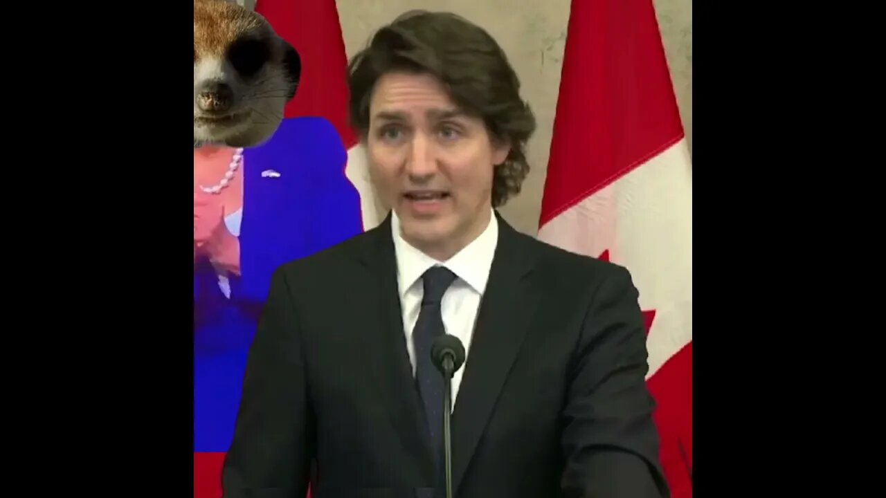 Nancy pelosi the meerkat at it again with Trudeau