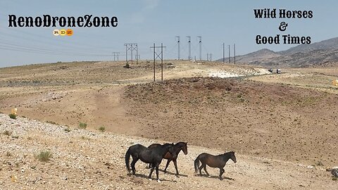 "Wild Horses and Good Times" by RenoDroneZone