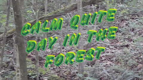 MEMORIAL DAY IN THE FOREST 2024