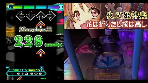 花は折りたし梢は高し - EXPERT (12) - AA#519 (EXTRA SAVIOR Full Combo) on Dance Dance Revolution A20 PLUS (AC)