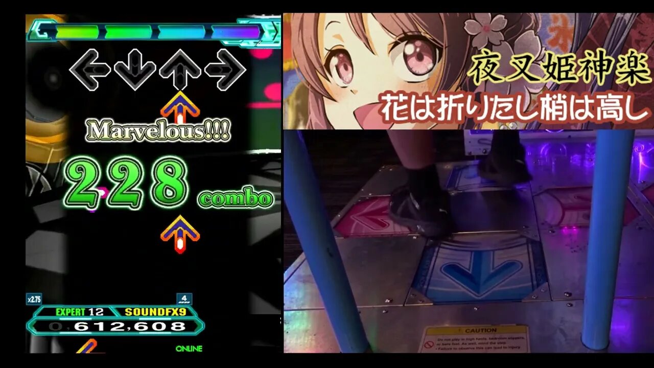 花は折りたし梢は高し - EXPERT (12) - AA#519 (EXTRA SAVIOR Full Combo) on Dance Dance Revolution A20 PLUS (AC)