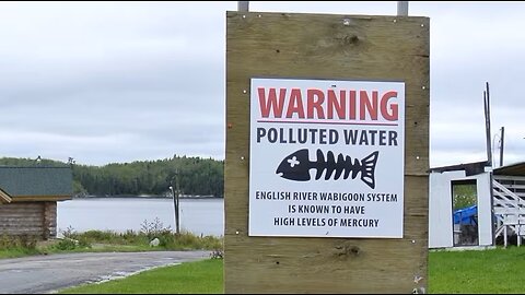 Mercury and Nuclear Contamination Dryden Ontario