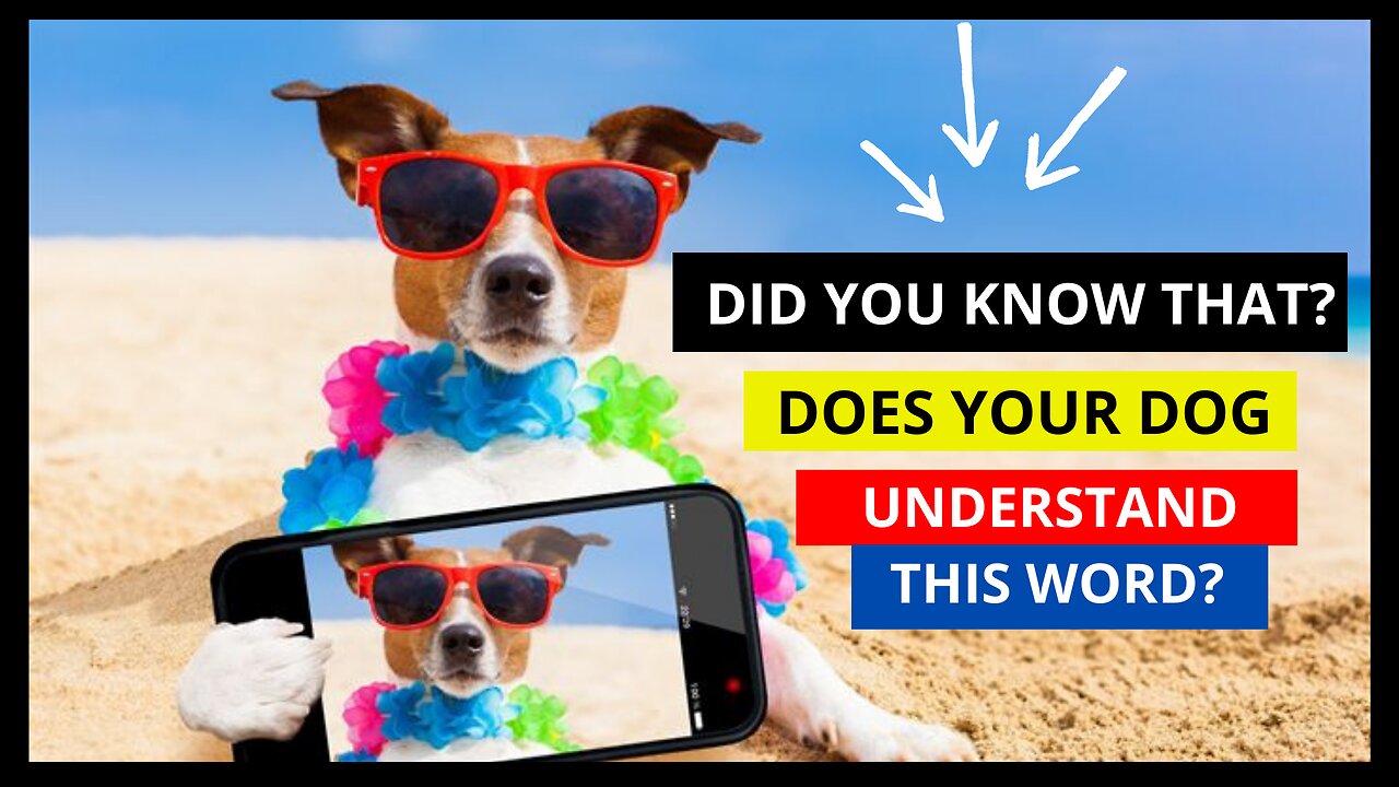 DO YOU KNOW YOUR DOG UNDERSTAND THIS? IT'S IMPRESSIVE!