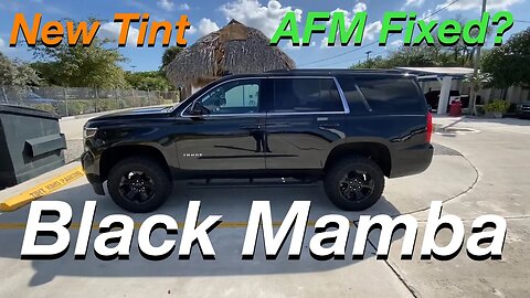 New Mods, Tint, Tuner Is It Fixed, Black Mamba Update