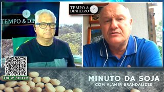 Chuvas chegaram tarde para o Milho