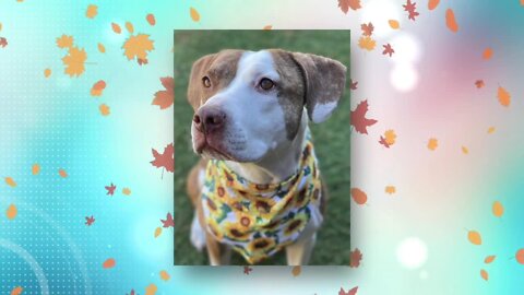 Pick of The Litter: Maribel