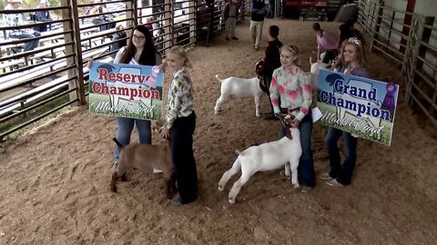 Mountain Digital Hometown TV Live Stream