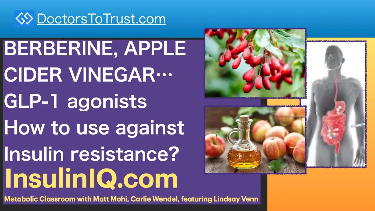 InsulinIQ.com 2 | BERBERINE, APPLE CIDER VINEGAR…GLP-1 agonists How they fight Insulin resistance?