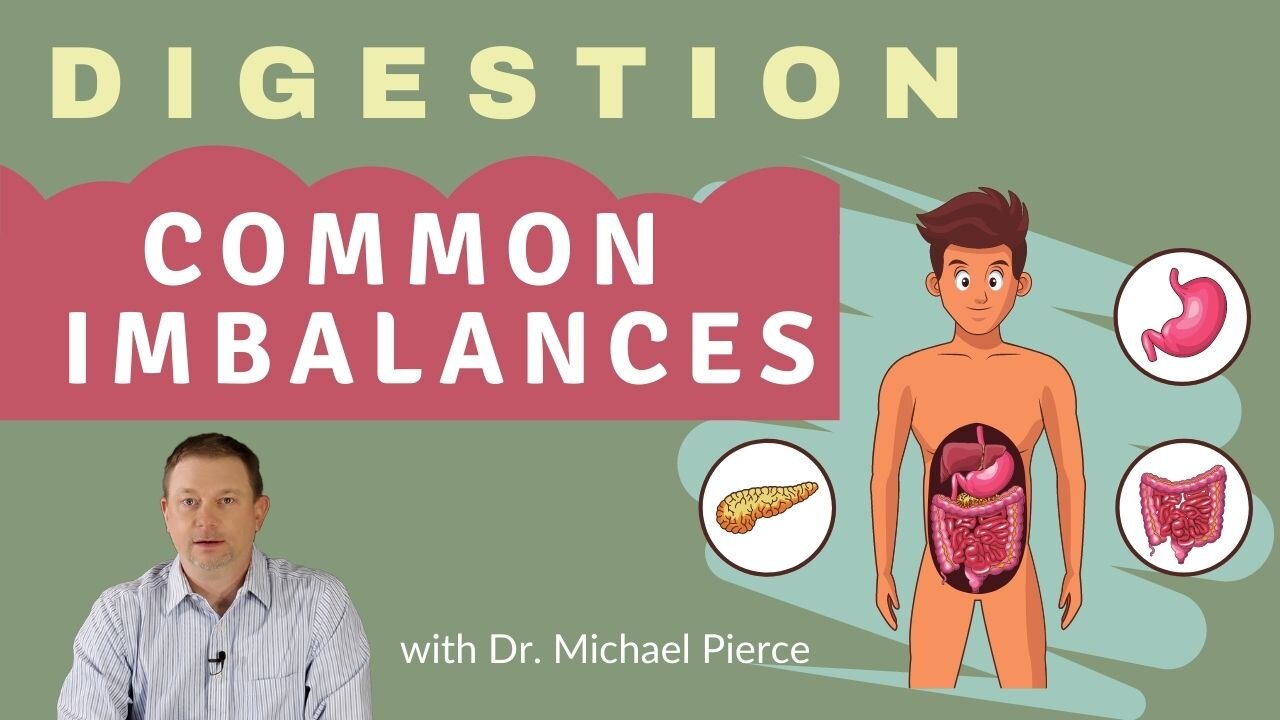 Digestion Series - Common Digestive Imbalances Explained. Is it stomach acid or bile?