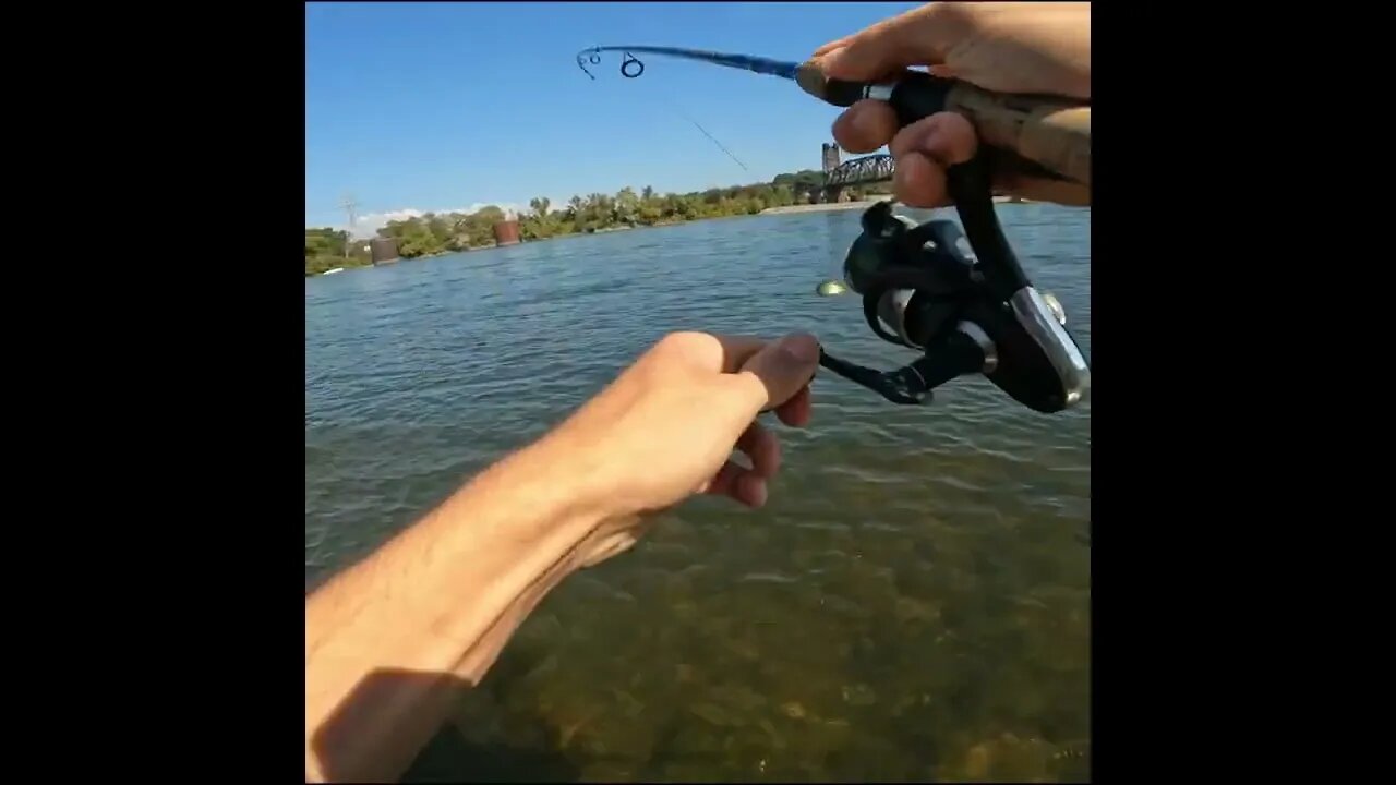 fishing the riverpark