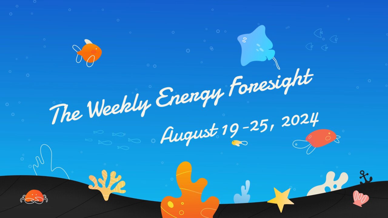 The Weekly Energy Foresight - August 19-25, 2024