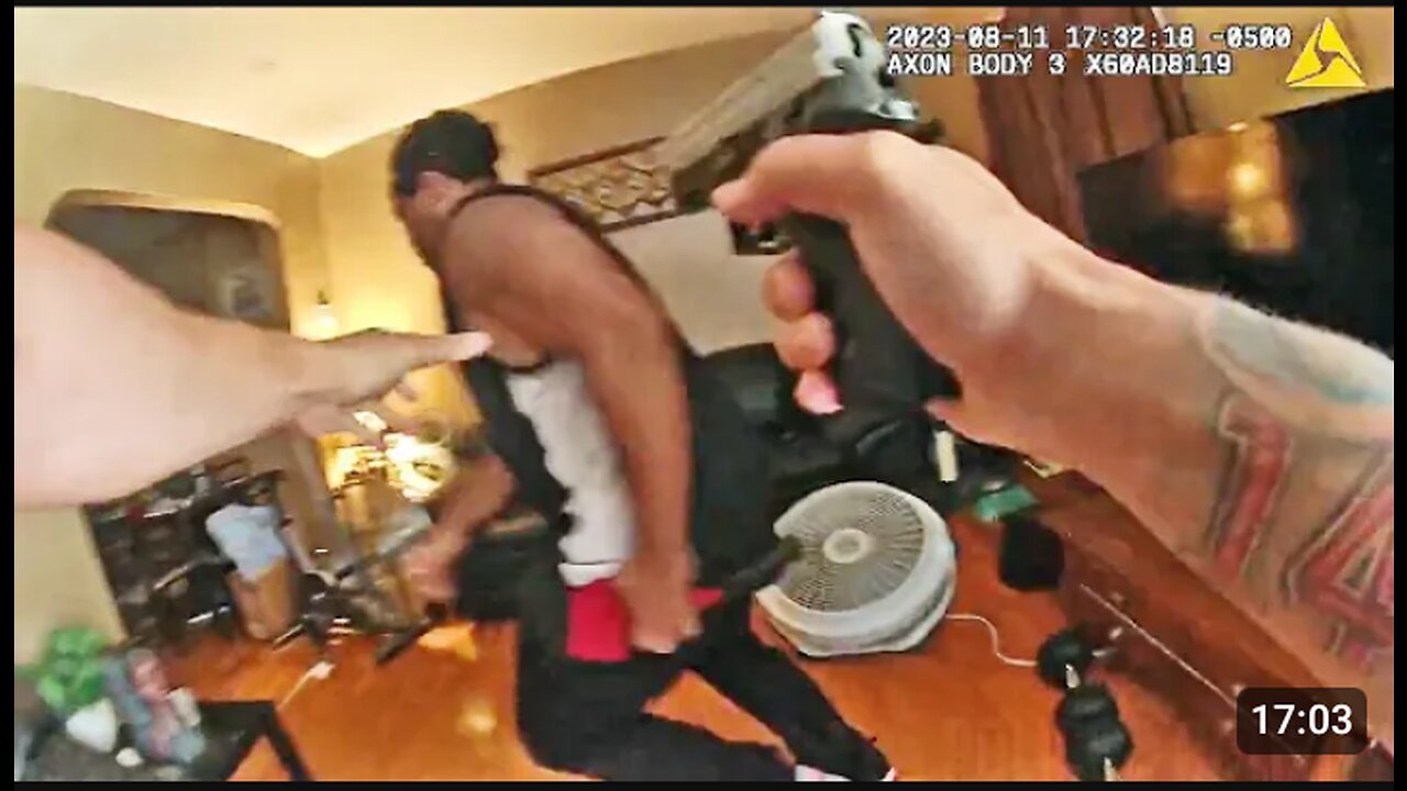 Intense Video Shows Chicago Police Officers and Suspect Struggle Over Gun in Deadly Confrontation