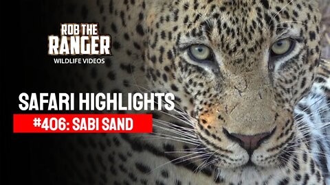 Safari Highlights #406: 06 - 08 May 2016 | Sabi Sand Wildtuin | Latest Wildlife Sightings