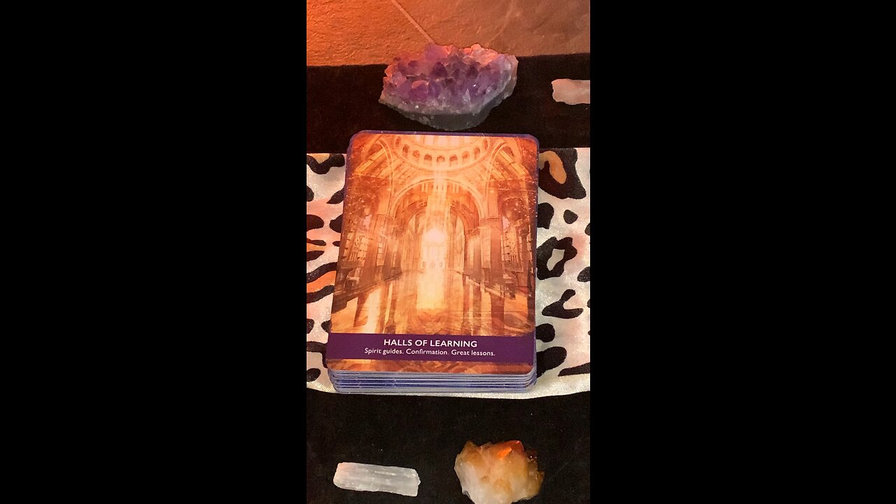 ✨Halls of Learning✨