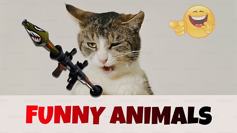 Funny Animals || Very Funny Video