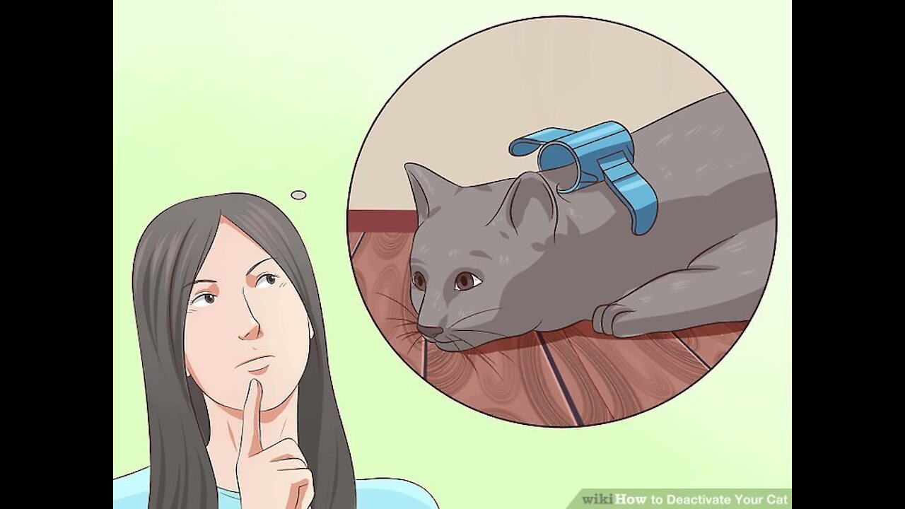 How To Deactivate A Cat When Running Around!