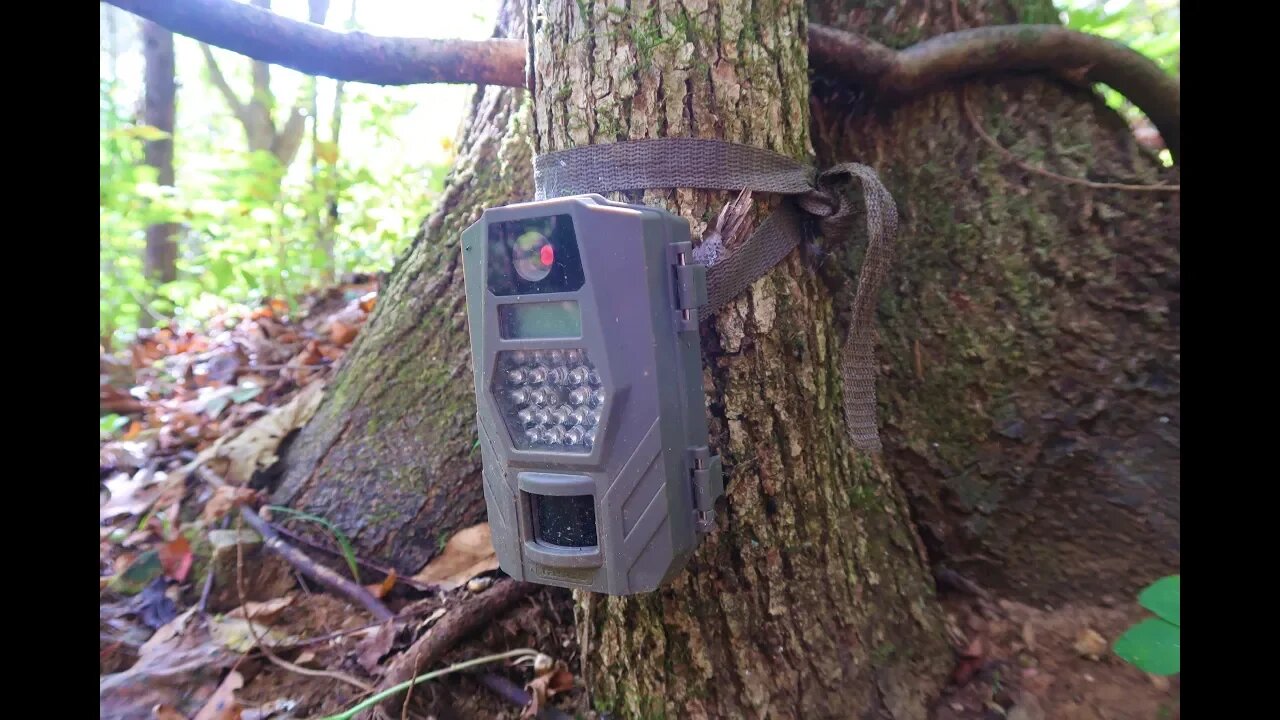 Checking Trail Cameras - NOT GOOD