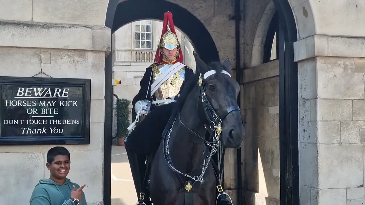 Get off the reins there is a sign #horseguardsparade