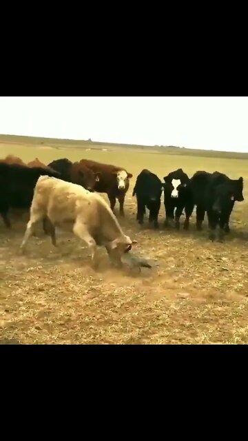 standing up for FREEDOM