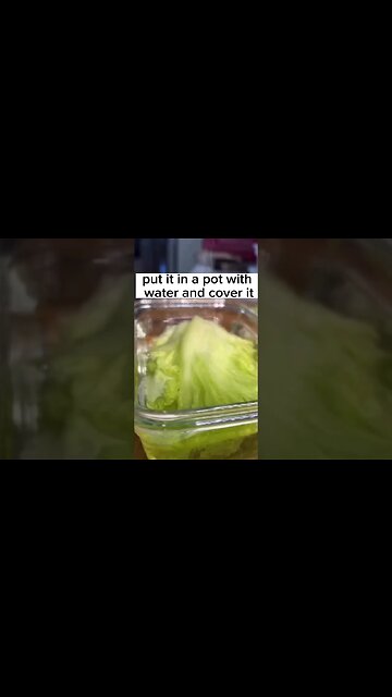 recovering the lettuce